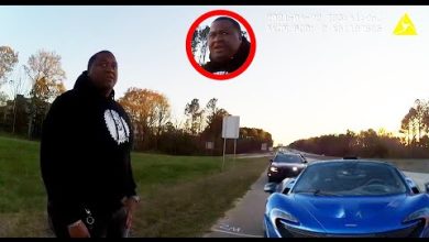 Millionaire Learns a Hard Lesson After Speeding in 0,000 Car