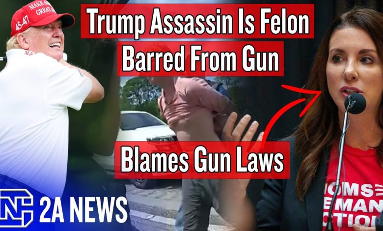 Trump Assassin Is Felon Barred From Guns, Yet Shannon Watts Blames Red Flag Laws