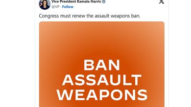Kamala’s Fast Flip-Flops On Guns