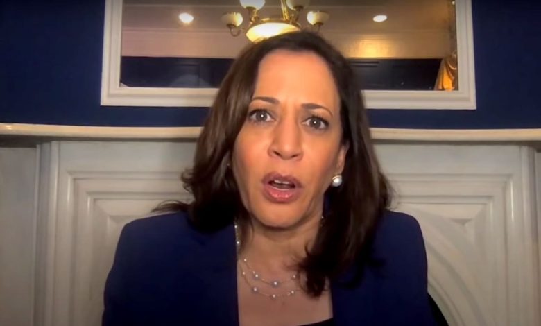 Why Kamala Harris Lost – The Truth About Guns