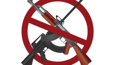 Colorado Senate To Approve Firearm Restriction Bill With Exemption