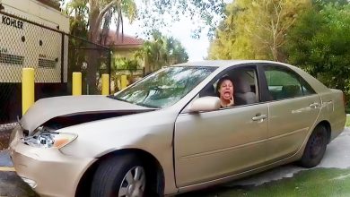 40-Year-Old Woman Acts Like a Toddler After Crashing Into Cars After Running Late for Work