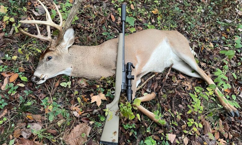 How Suppressors Change Your Hunt: Benefits Beyond Decibel Reduction