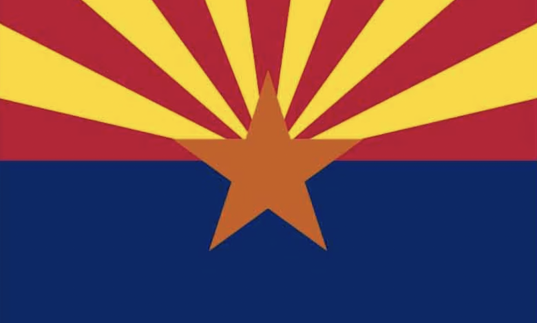 Government Report Suggests Removing Guns From Arizona Homes With Kids