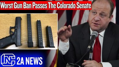 The Worst Gun Ban Passes The Colorado Senate