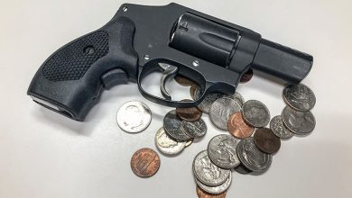 Bill In Congress Would Outlaw Gun Taxes, Insurance Requirements