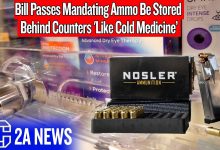 Bill Passes Mandating Ammo Be Stored Behind Counters ‘Like Cold Medicine’