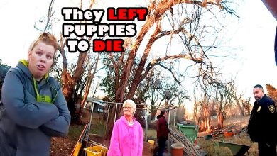 Cops Discover Puppies Freezing to Death in Neighbor’s Cage