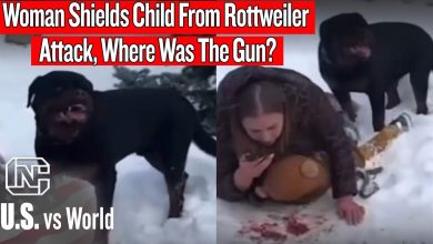 Woman Shields Child From Rottweiler Attack, Where Was The Gun?