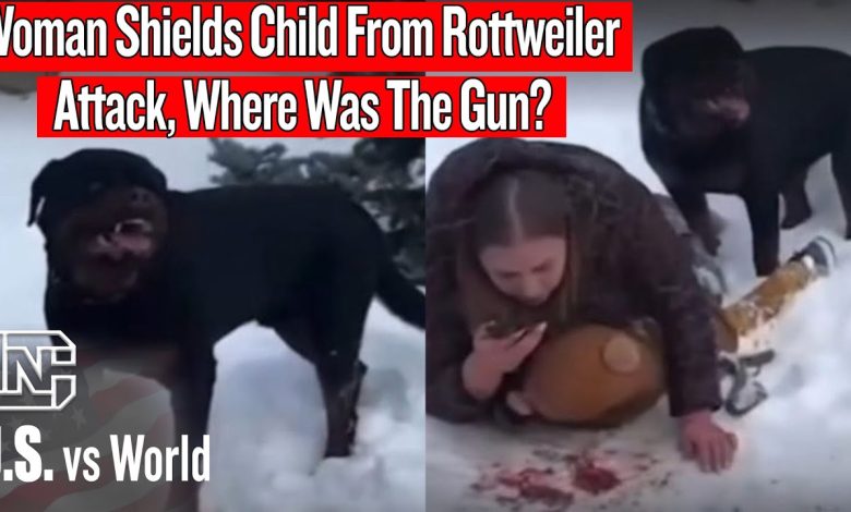 Woman Shields Child From Rottweiler Attack, Where Was The Gun?