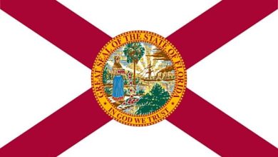 7th Circuit Upholds Florida Gun Ban for Under 21