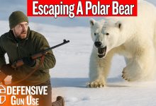 He Dropped His Rifle Running From A Charging Polar Bear
