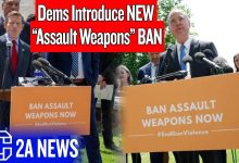 New 2025 Assault Weapons Ban Introduced By Democrats