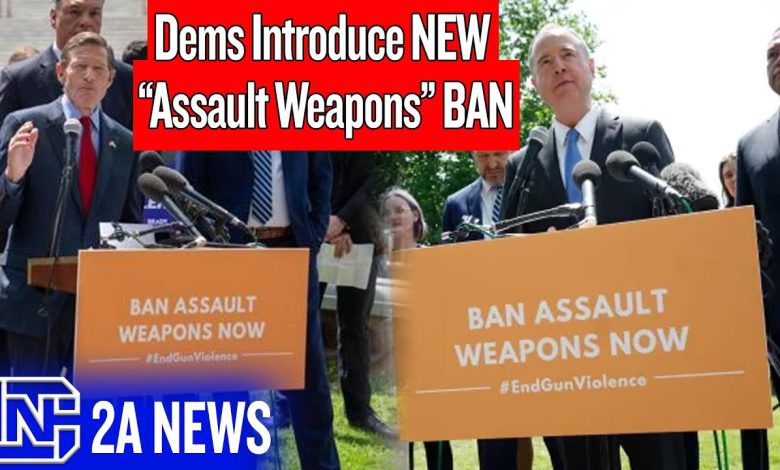 New 2025 Assault Weapons Ban Introduced By Democrats