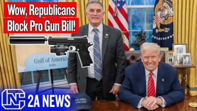 Wow, Republicans Are Blocking A Pro Gun Bill!