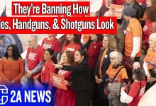 They’re Banning Guns Based on Looks Now?! | Rhode Island S539 & H5436