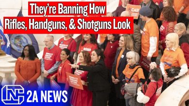 They’re Banning Guns Based on Looks Now?! | Rhode Island S539 & H5436