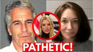 Epstein Files Disaster Is HUMILIATING! Cover Up Underway?