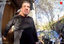 Hoarder Arrested After 175 Dogs Discovered