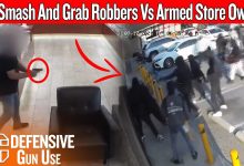 Caught On Camera: 20 Smash And Grab Robbers Vs Armed Store Owner In California