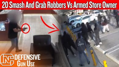 Caught On Camera: 20 Smash And Grab Robbers Vs Armed Store Owner In California