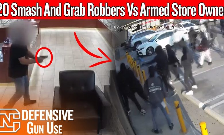 Caught On Camera: 20 Smash And Grab Robbers Vs Armed Store Owner In California