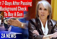 You Need A Gun Tonight But The Current Law Forces You To Wait A Week