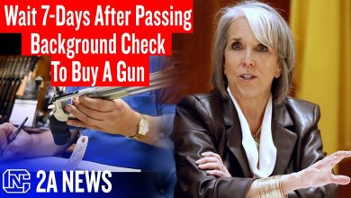 You Need A Gun Tonight But The Current Law Forces You To Wait A Week