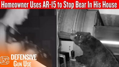 Armed Homeowner With AR-15 Defends Against Bear Breaking In At Night