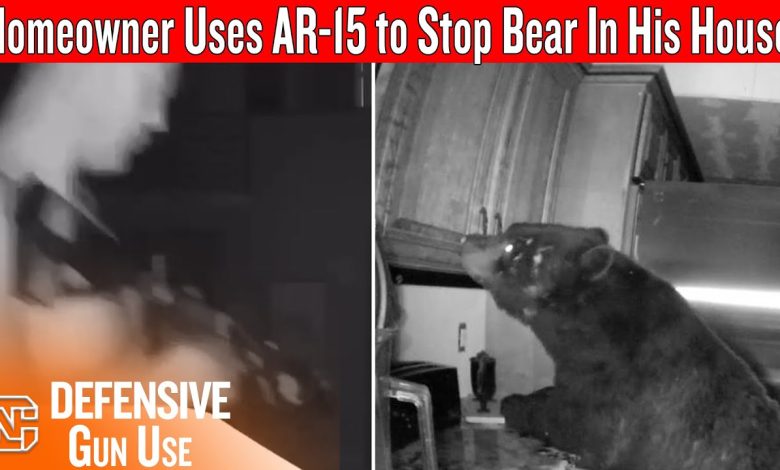 Armed Homeowner With AR-15 Defends Against Bear Breaking In At Night