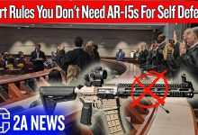 Court Rules You Don’t Need AR-15s For Self Defense
