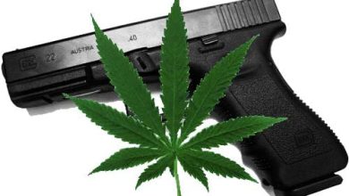 11th Circuit Rules Medical Marijuana Users Can Own Guns