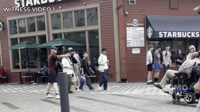 Seattle Shooting Highlights How Stupidity Doesn’t Take Sides