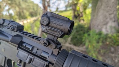 Best Budget Red Dot of 2025?