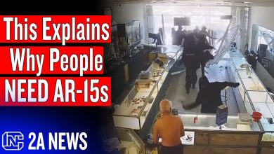 The One Video That Explains Why People Need AR-15s