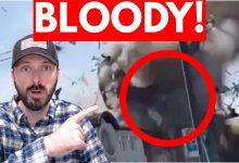 Russia UNLEASHES Brutal Bombing On Ukraine *STRIKE FOOTAGE*