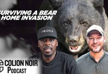 A Bear, an AR-15, and a Home Invasion