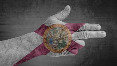 NRA Challenges Florida’s 3-Day Gun Waiting Period