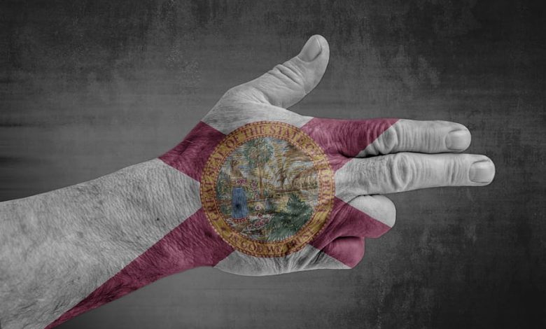 NRA Challenges Florida’s 3-Day Gun Waiting Period NRA Challenges Florida’s 3-Day Gun Waiting Period