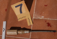 Illinois Mom Shoots Intruder Armed with Screwdriver