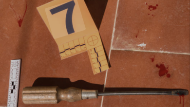 Illinois Mom Shoots Intruder Armed with Screwdriver