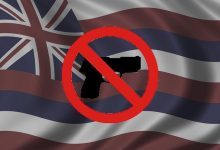 Hawaii Gun Laws Face Major 9th Circuit Showdown