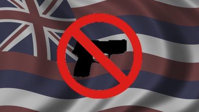 Hawaii Gun Laws Face Major 9th Circuit Showdown