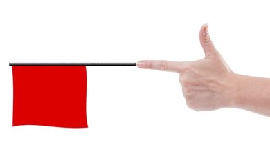 Michigan GOP Pushes to Repeal Red Flag Gun Laws