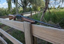 Guns We Love – Remington 7400