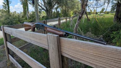 Guns We Love – Remington 7400