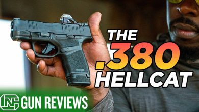 The Best New Concealed Carry .380?