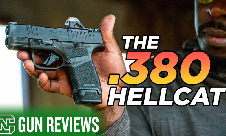 The Best New Concealed Carry .380?