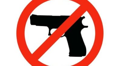 Court Calls Handgun Ban Unconstitutional—Then Guts Relief