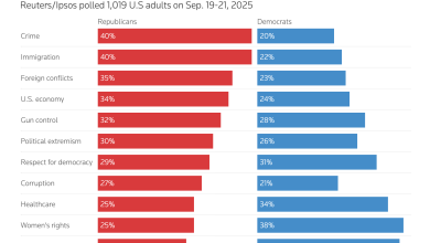 Americans Favor GOP Over Dems on Gun Policy